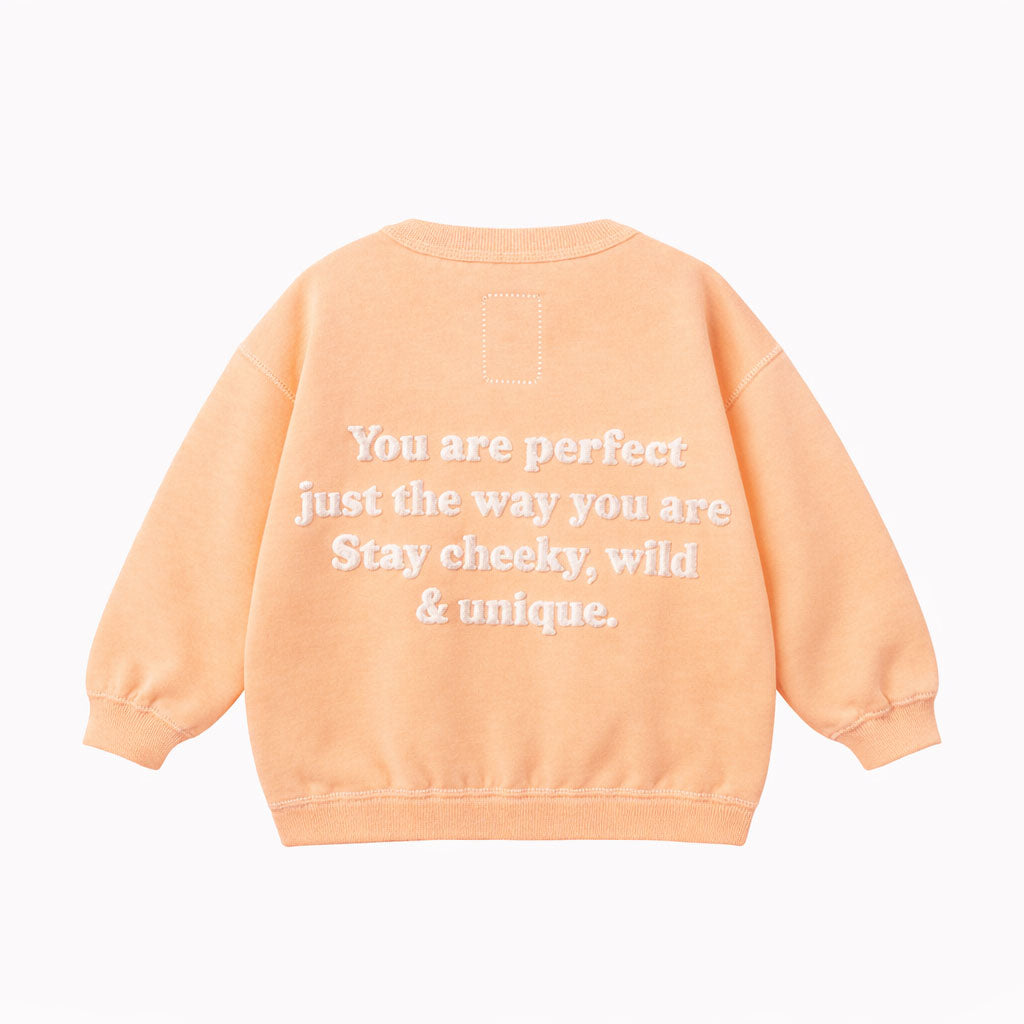 Sweater Parma Apricot